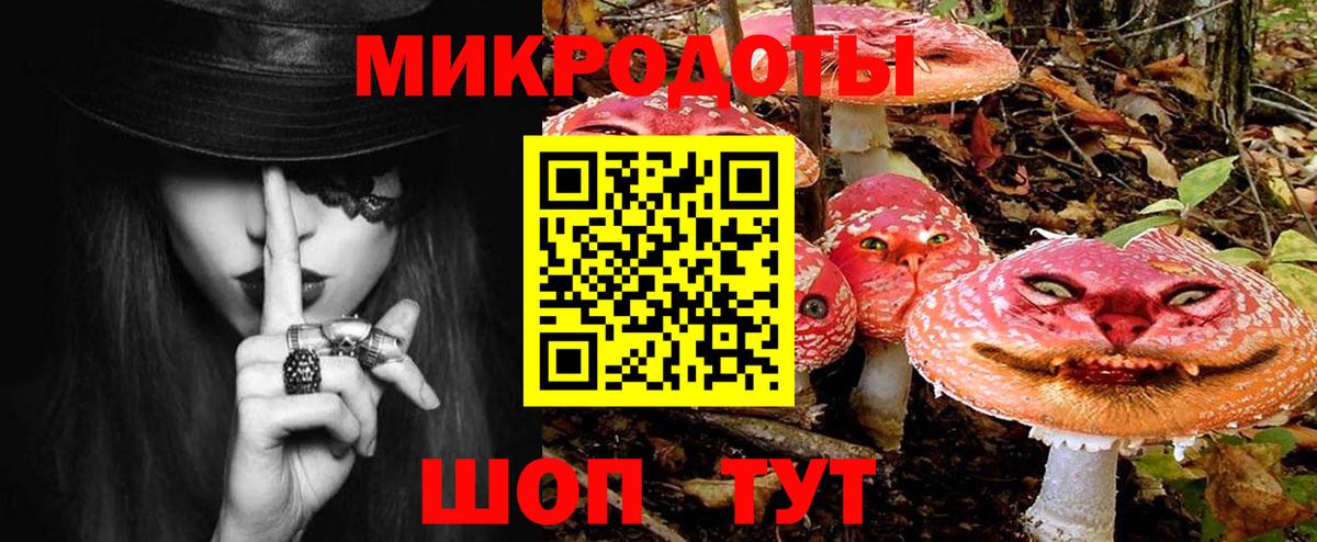 Новокуйбышевск  Псилоцибиновые грибы Magic Shrooms  Вход с VPN 